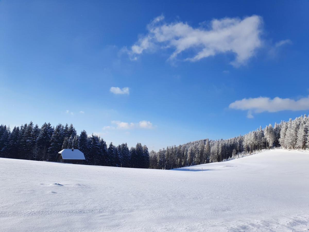 Ferienhaus-Schoenwald Im Herzen Des Schwarzwaldes 2-Zimmer-Maisonette-Wohnung Mit Balkon App 12 Luaran gambar